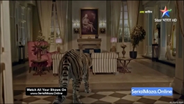 Baghin - 16th March 2024